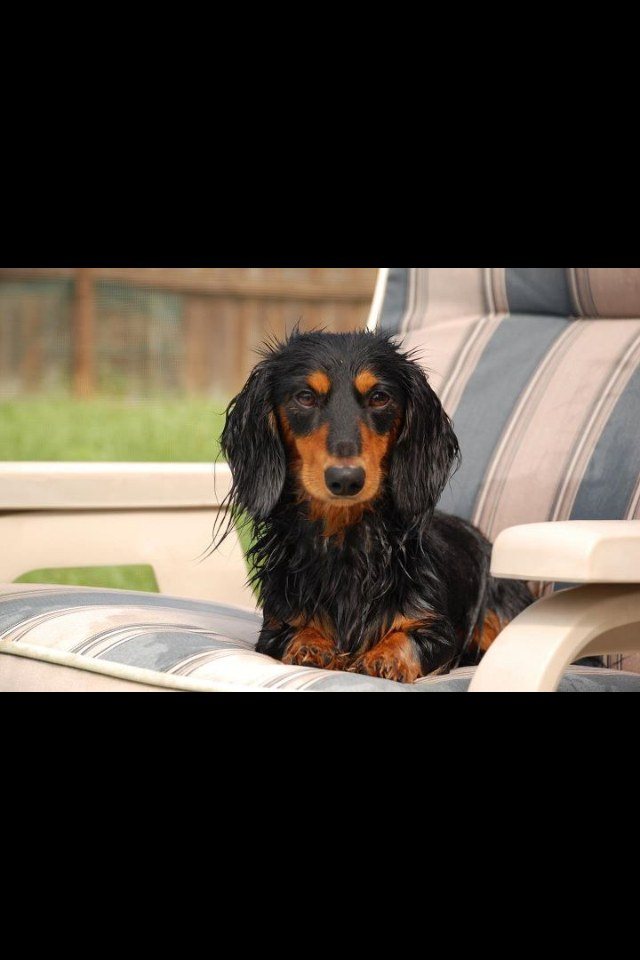I Hate Getting My Hair Wet..