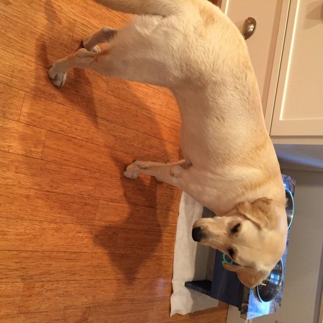 Can I Get A Refill Over Here Or What?