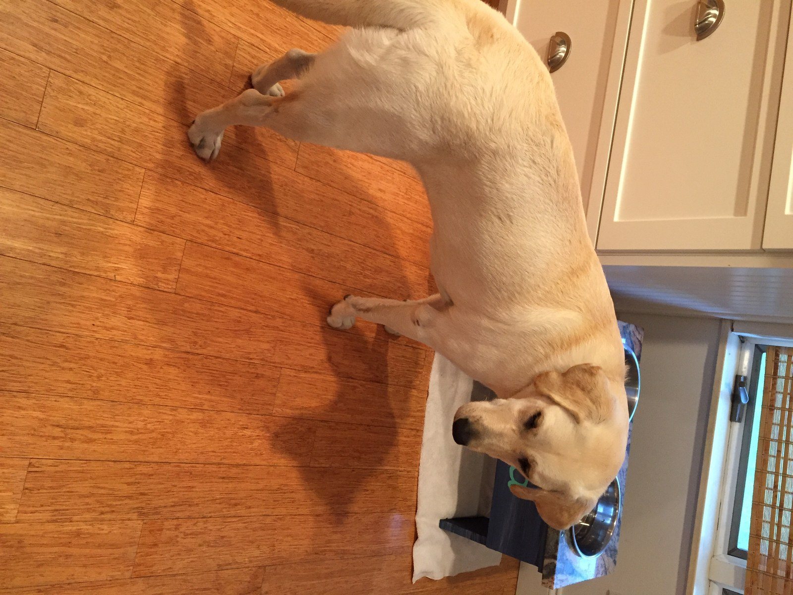 Can I Get A Refill Over Here Or What?