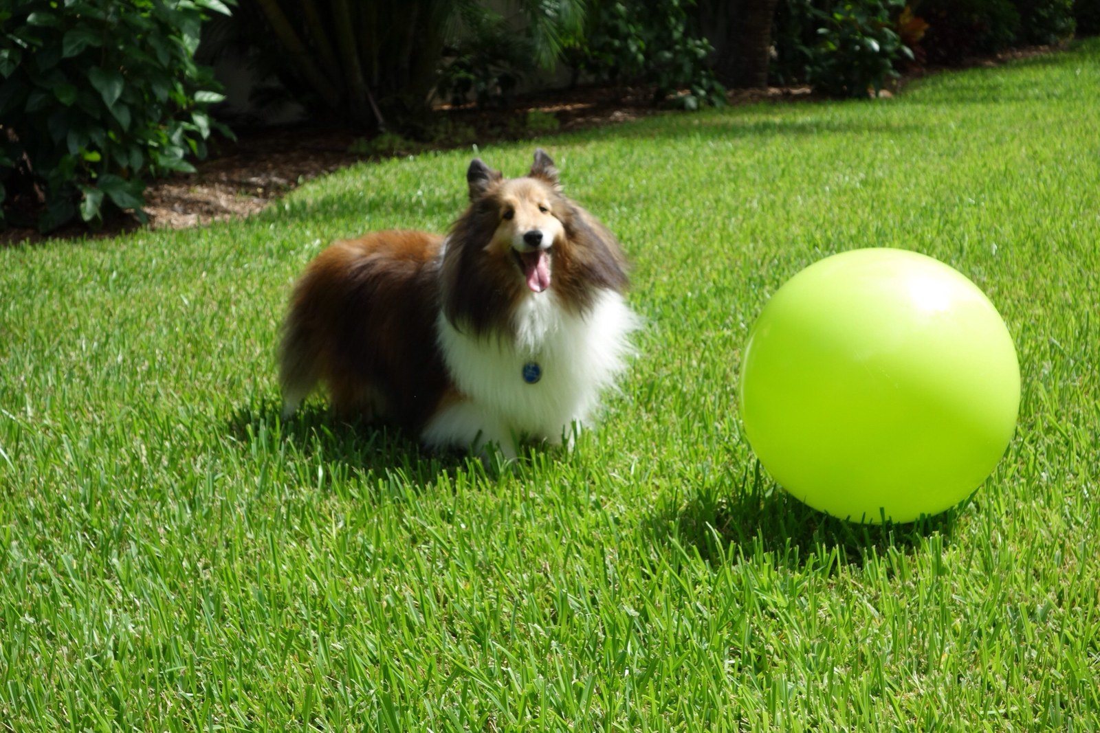 Let's Play Ball!