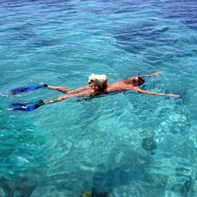 Einstein & Amy Snorkel The Reef