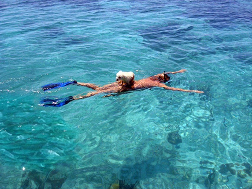 Einstein & Amy Snorkel The Reef