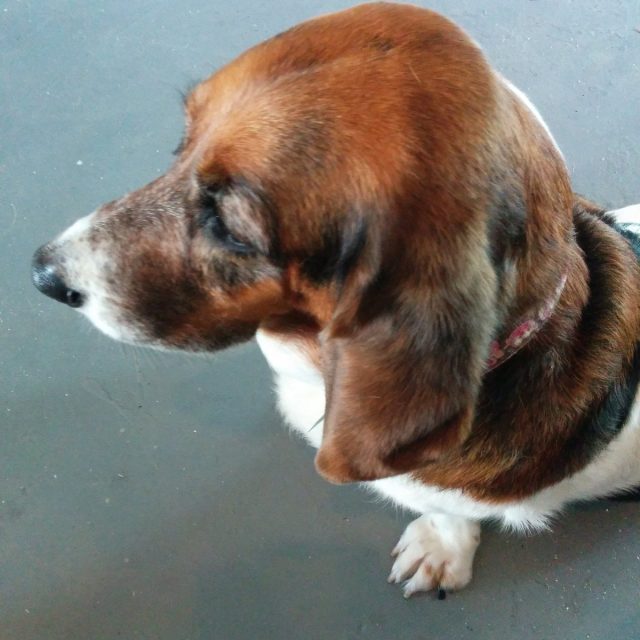 Lulu...