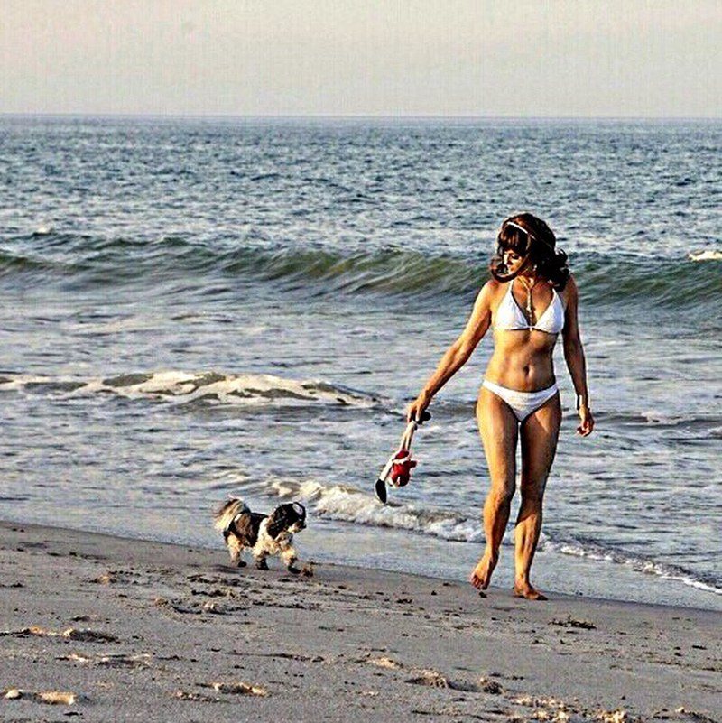 Beauty And The Beach