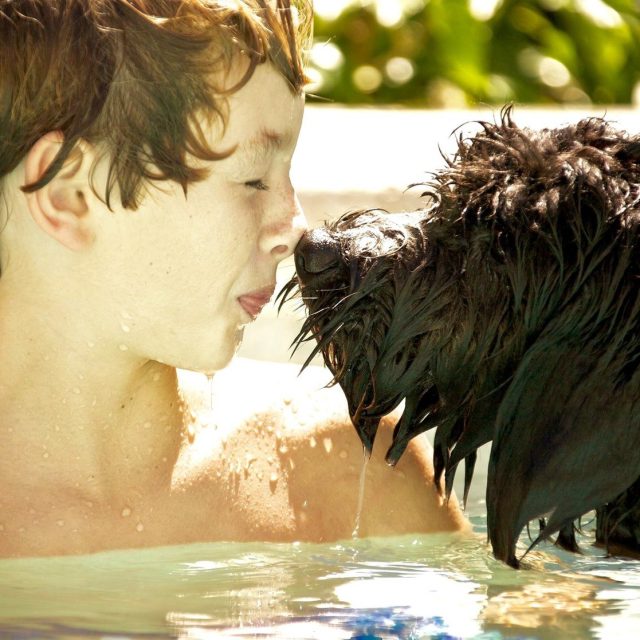 Doodle Love - Hammy & Tucker