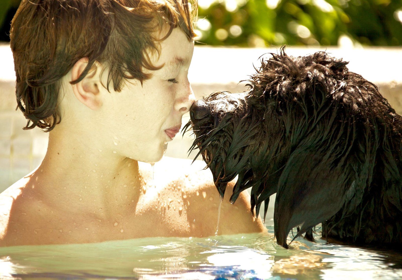 Doodle Love - Hammy & Tucker