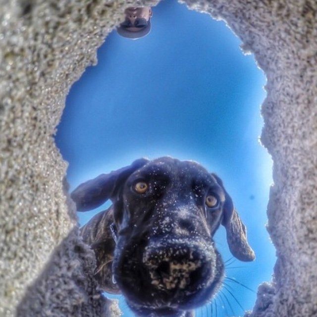 I See You Down There