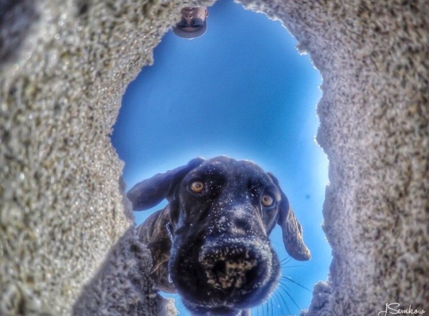 I See You Down There
