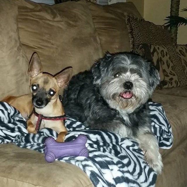 My Guys