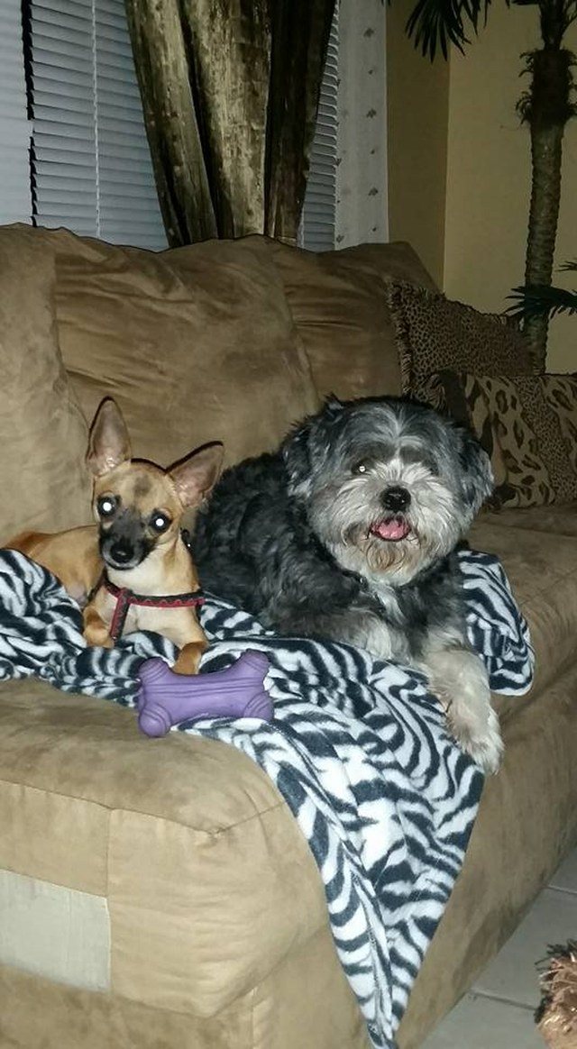 My Guys