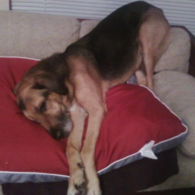 The Best Way To Sleep.
