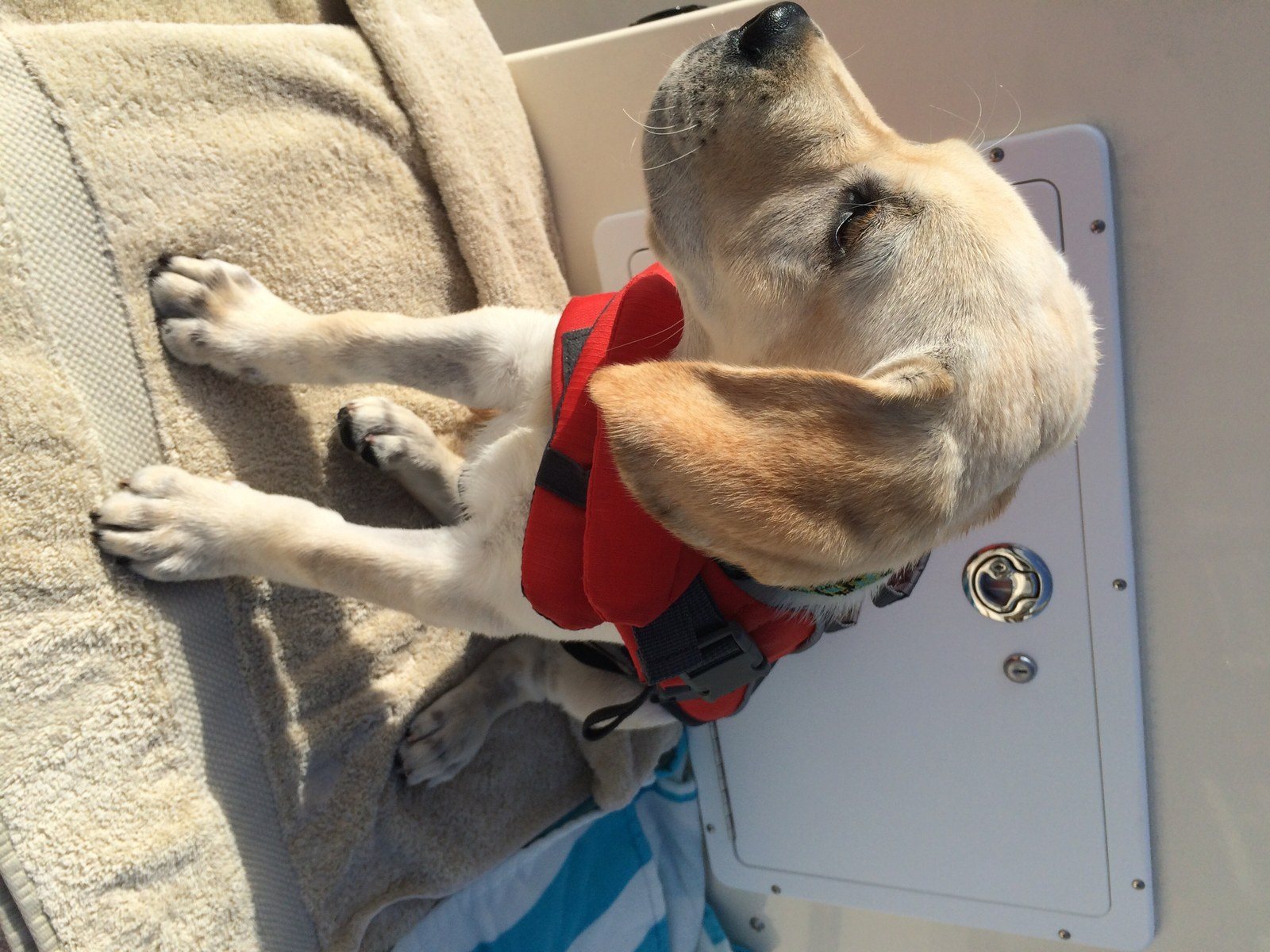 Angus Says "Safety First When Boating In Vero"