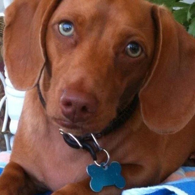 Can I Please Go To The Beach?
