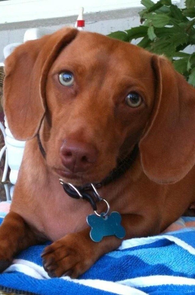Can I Please Go To The Beach?