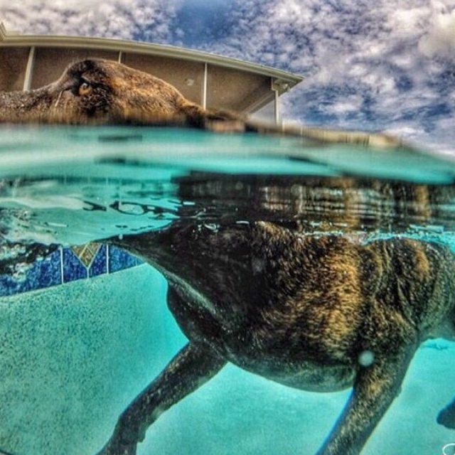 Cooling Off In Fl Weather