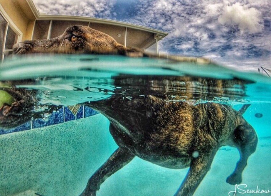 Cooling Off In Fl Weather