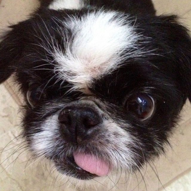 Walter!