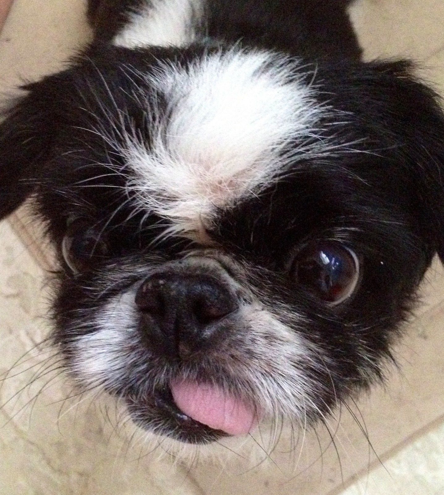 Walter!