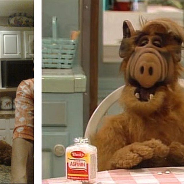 Alf's Cousin, Gordy