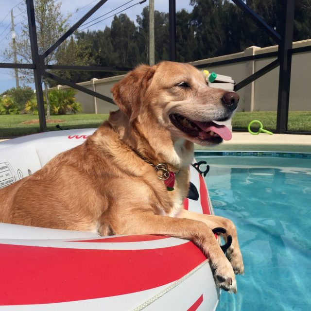 It's A Rough Life