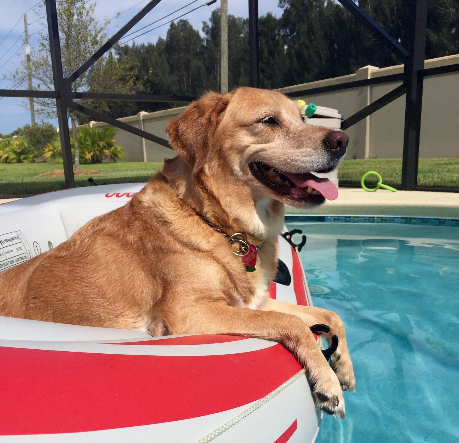 It's A Rough Life
