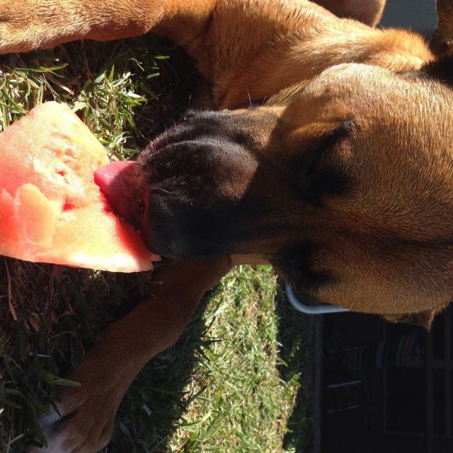 Yummy!