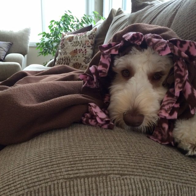 Chilly Day