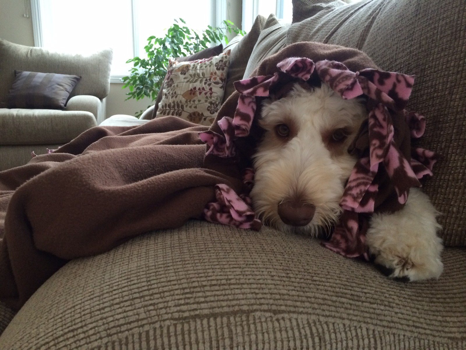 Chilly Day