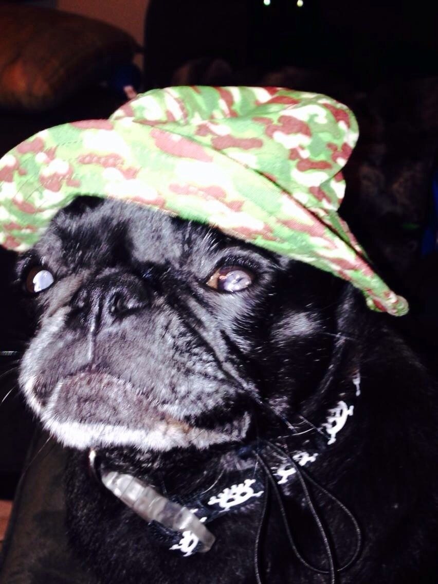 Git'r Done - Bella