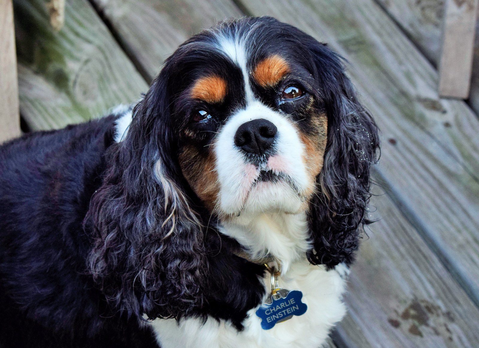 Charlie