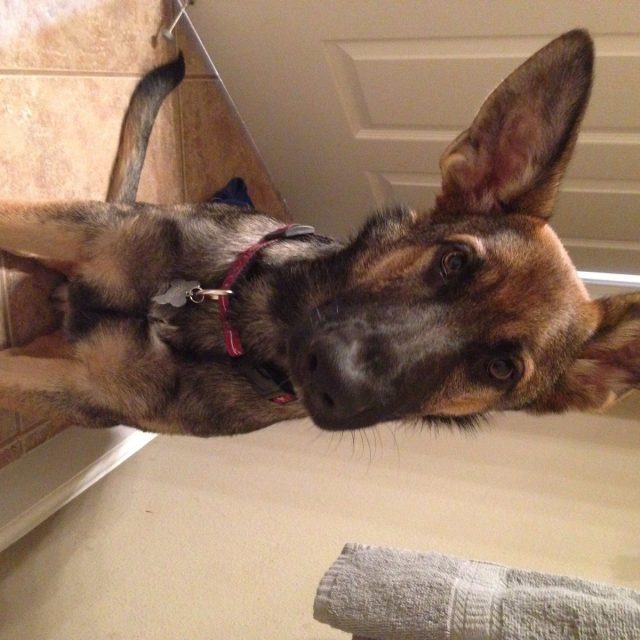 Can We Go Play Now!?
