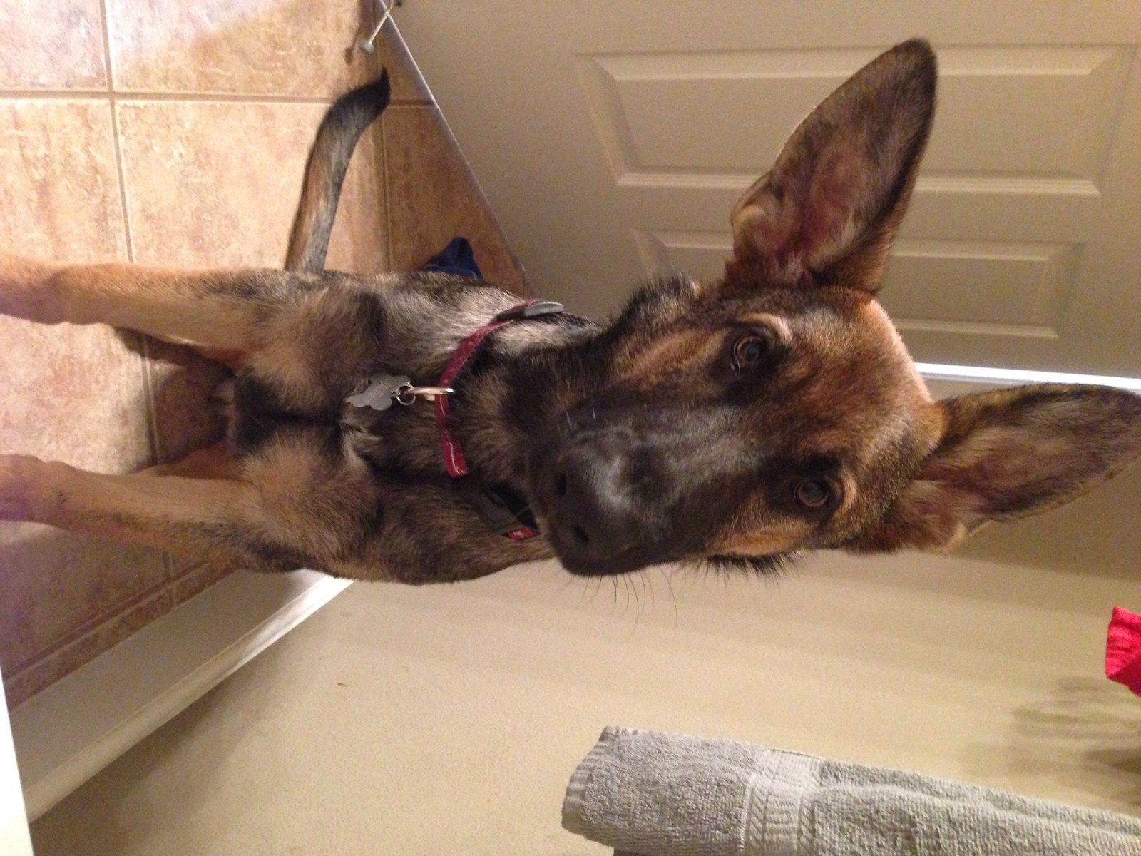 Can We Go Play Now!?