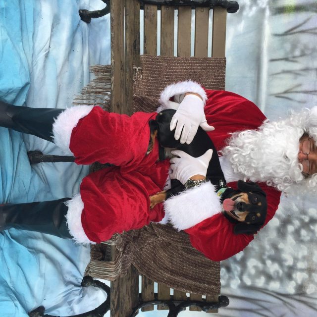 I Promise I'm On The Nice List Santa!