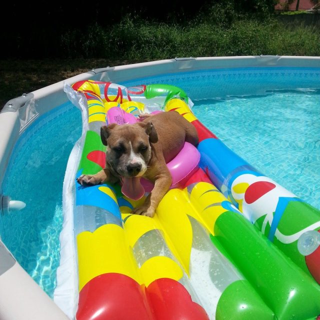 Taking A Dip In The Pool. :)