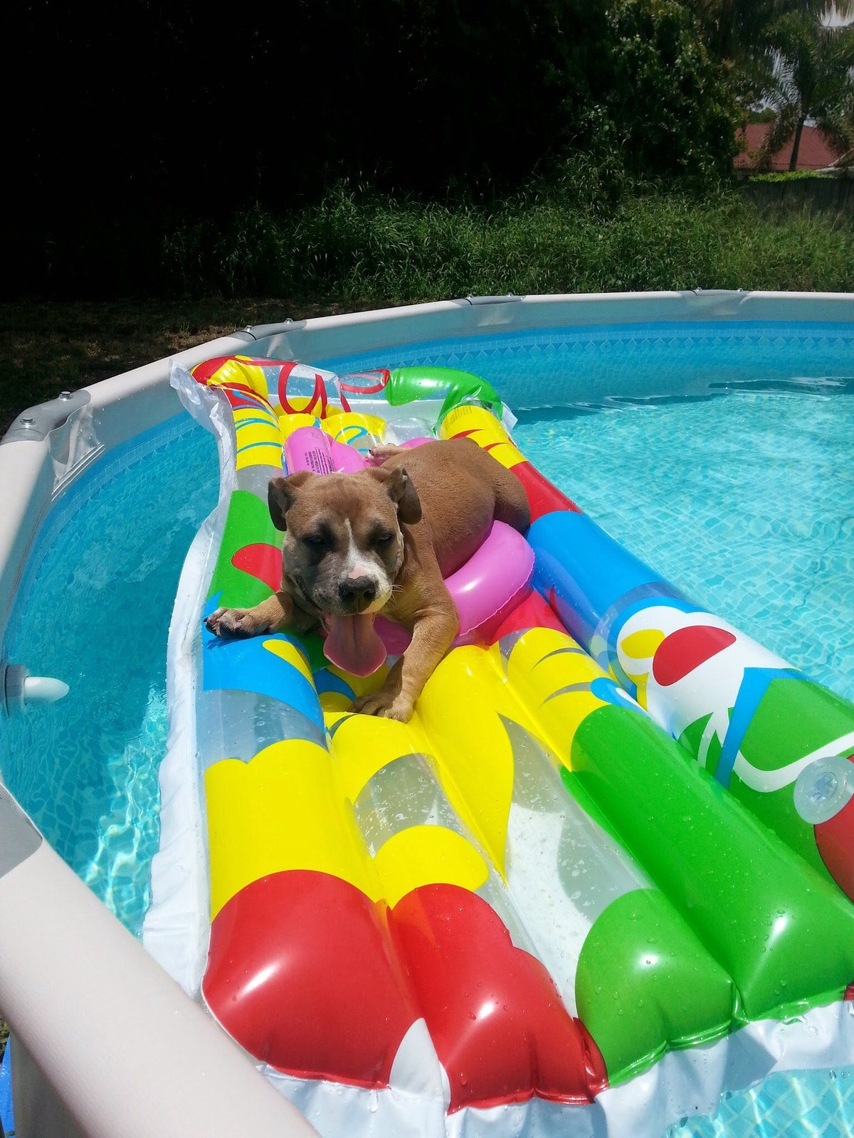 Taking A Dip In The Pool. :)