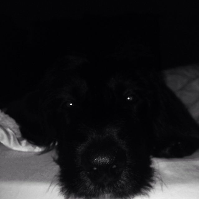 Can You See Me In The Dark?
