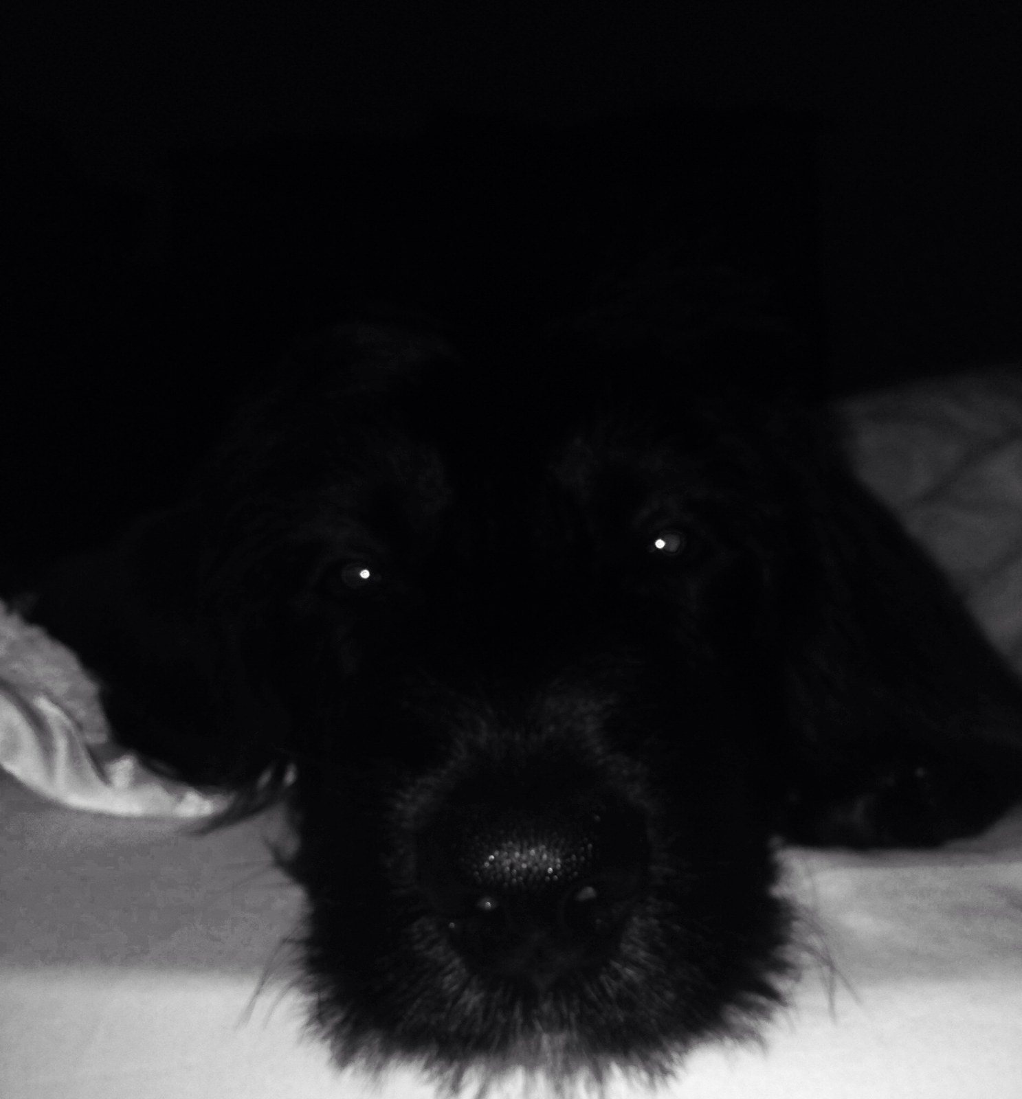 Can You See Me In The Dark?