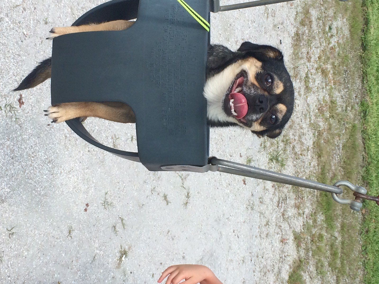 Edie's A Swinger