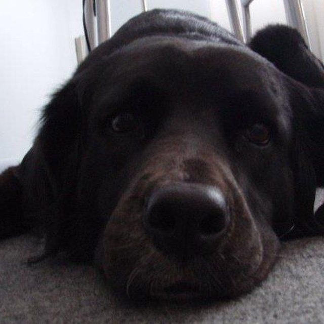 What, I'm Awake!