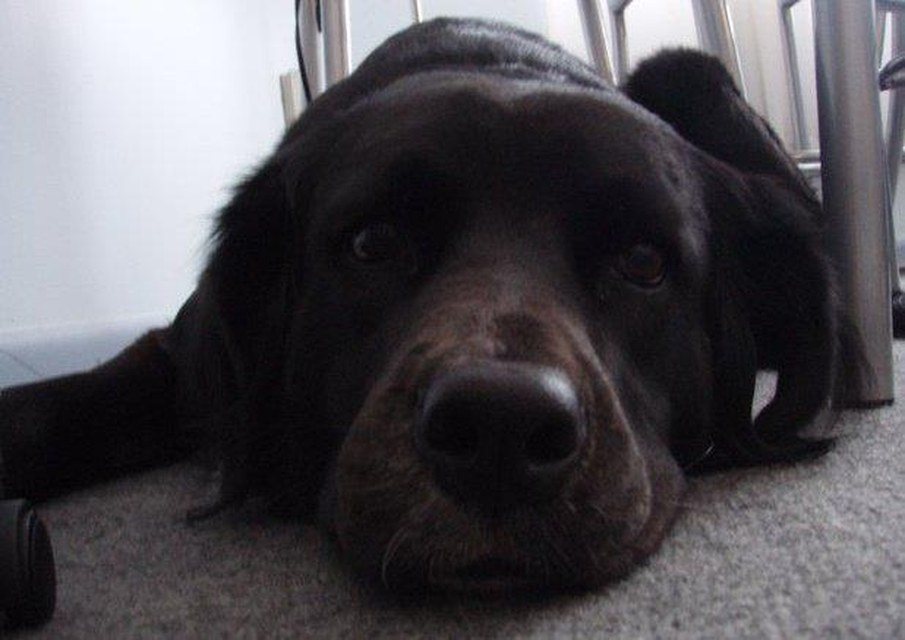 What, I'm Awake!