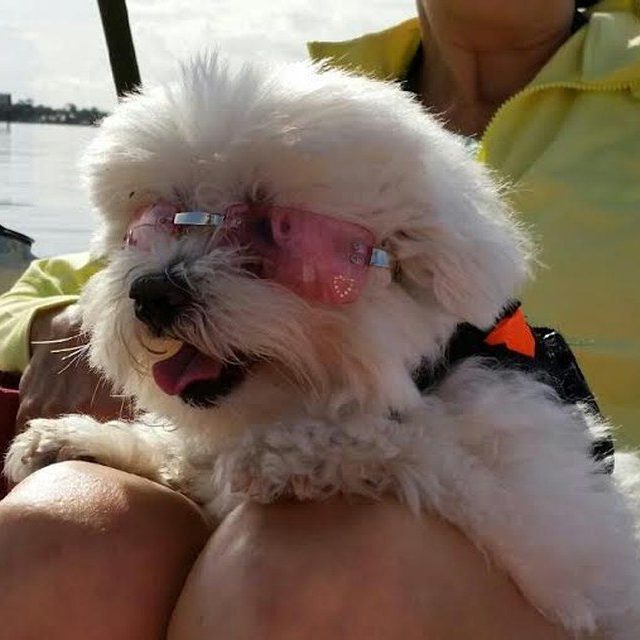 You Gotta Love A Day On The Water