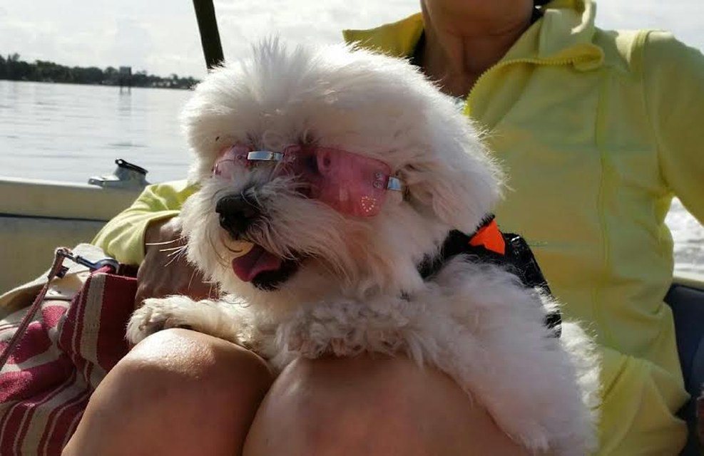 You Gotta Love A Day On The Water