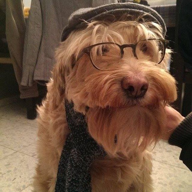 Hipster Doodle