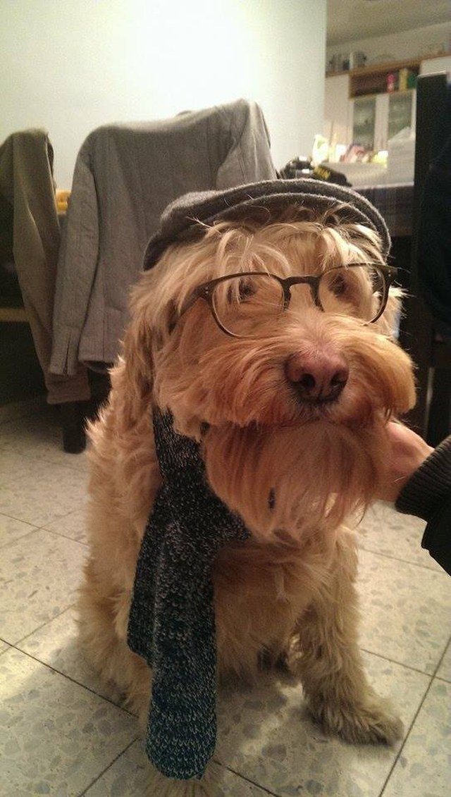 Hipster Doodle