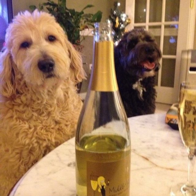 Waiting For The New Year