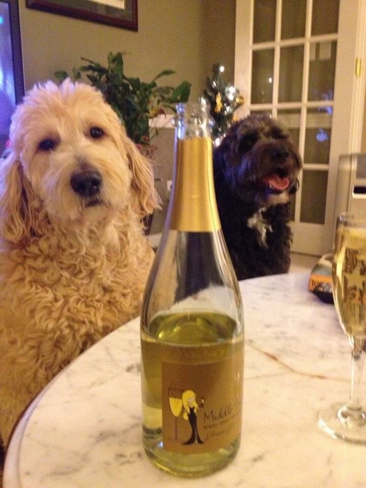 Waiting For The New Year