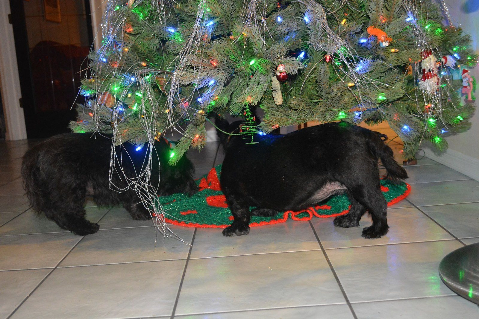Where Did Our Presents Go?