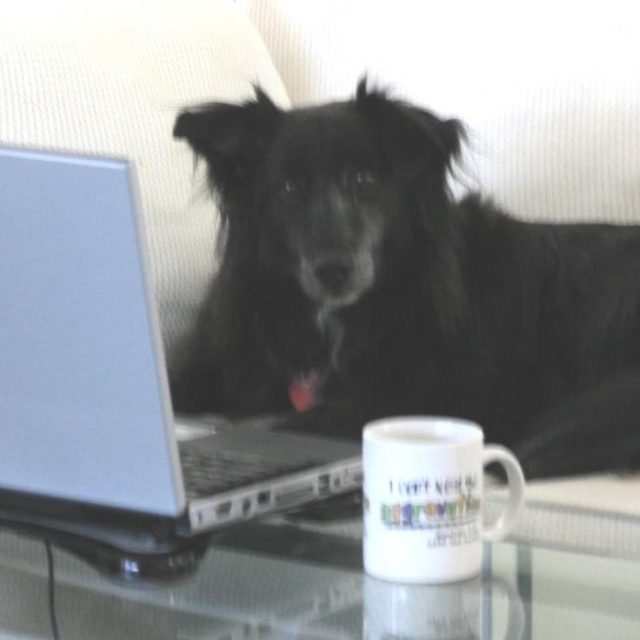 Hanging Out On Dogbook