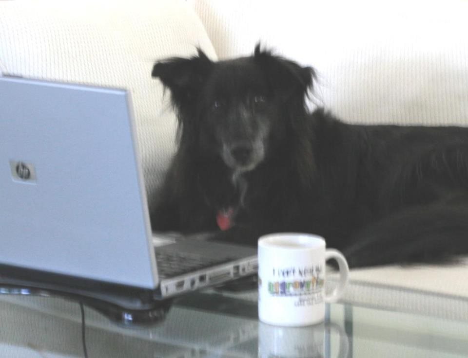 Hanging Out On Dogbook