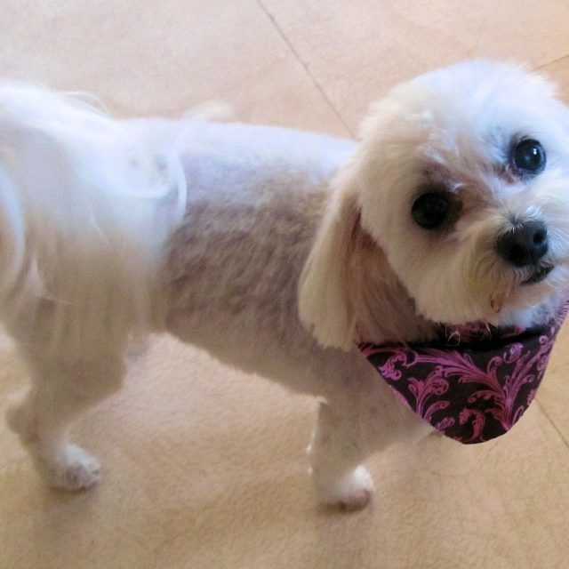 Tilly Says, Like Me, Please